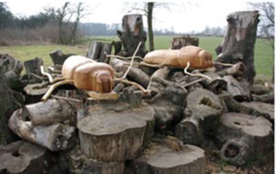 V týdnu od 30. března do 11. dubna 2026 chystá město Prostějov několik novinek, které pomohou naší městské zeleni.                               Číst dál...