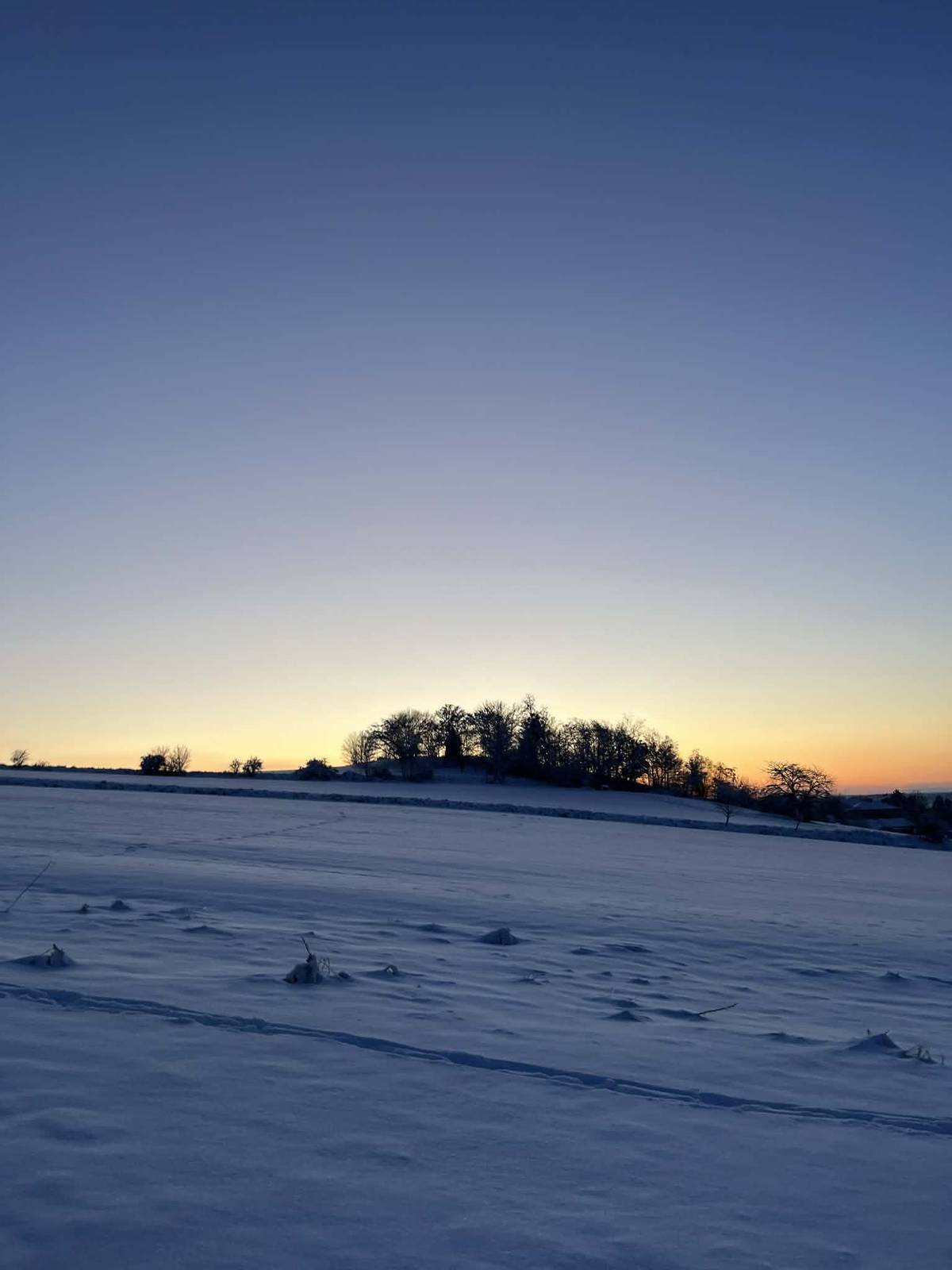 Vršovice objektivem občanů – vyhlášení vítězů  Děkujeme všem občanům, kteří se zapojili do fotografické soutěže a zaslali nám své krásné snímky z Vršovic  Sešlo se nám mnoho povedených fotografií a výběr nebyl vůbec jednoduchý. Nakonec jsme vybrali 4 vítězné fotografie od 4 autorů, které zveřejňujeme níže  Gratulujeme všem výhercům a děkujeme i ostatním za účast! Vítězové: Andrea Bravanská Katka Kovalská Vojtěch Rychlý Tereza Pavlíková Výherce prosíme, aby si přišli vyzvednout svou odměnu v pondělí v 15:00 hodin na Obecní úřad ve Vršovicích, případně se mohou domluvit individuálně telefonicky. Ještě jednou děkujeme, že společně ukazujeme, jak krásné Vršovice máme! #Vršovice #NašeObec #VršoviceObjektivem #FotkyZObce