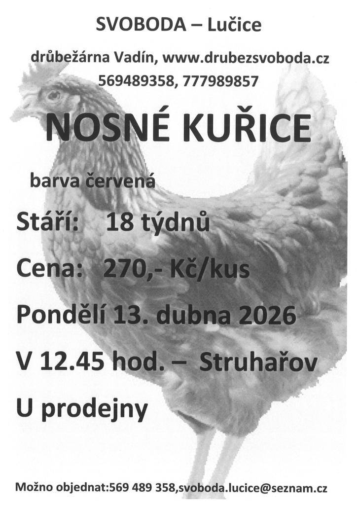 Drůbežárna Vadín nabízí na prodej nosné kuřice červené barvy. Kuřice jsou ve věku 18 týdnů a cena za kus činí 270 Kč. Prodej se uskuteční v pondělí 13. dubna 2026 v 12:45 hodin ve Struhařově před prodejnou Flop.