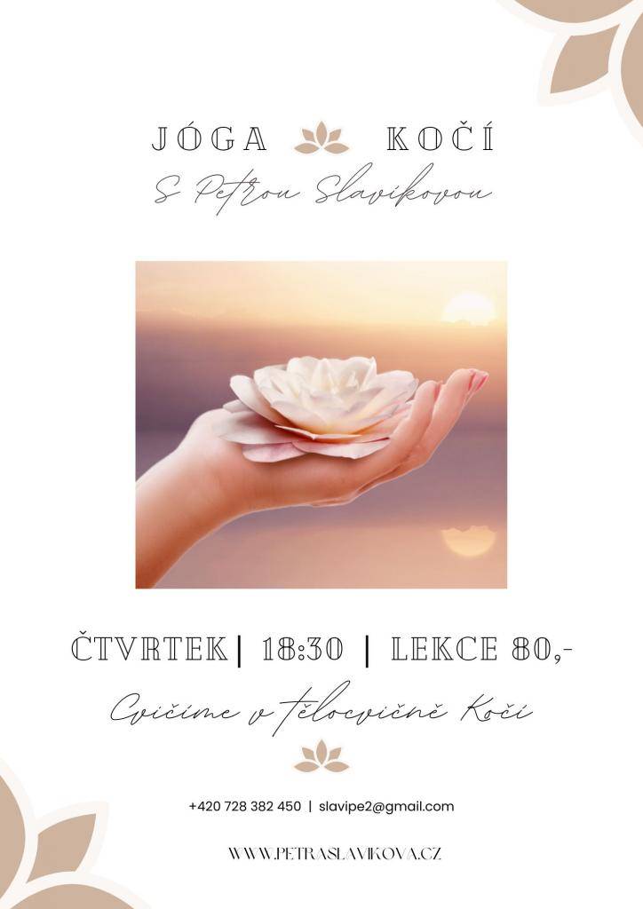 Byl by zájem o pravidelnou cvičení jógy v místní tělocvičně? Termín a čas je plovoucí. Toto je jen nástřel.