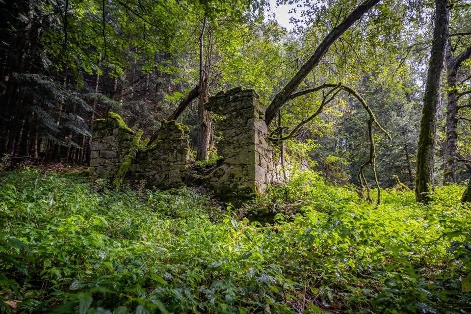 Vernisáž, Muzeum Českého lesa, Třída Míru 447, 34701 Tachov, úterý 31. 3. 2026 od 17.00. Vernisáž výstavy