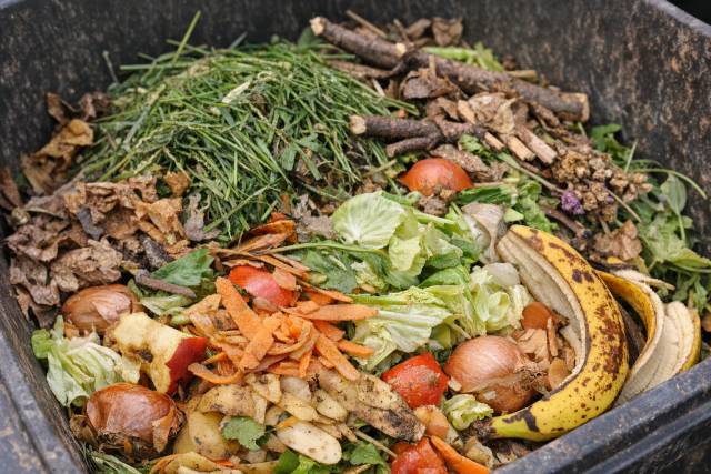 Pravidelný svoz bioodpadu od rodinných domů ve městě i v místních částech začne v pondělí 30. března. Probíhat bude – stejně jako v předchozích letech – v sudých týdnech. Nádoby na bioodpad je nutné přistavit na svozová místa včas, aby mohl být odpad bez komplikací odvezen. Do nádob patří především tráva, listí, větve, rostlinné zbytky a slupky z ovoce a zeleniny. Naopak plasty, kovy, sklo, komunální odpad ani jiné příměsi do bioodpadu nepatří, protože zhoršují kvalitu následně vyráběného kompostu.