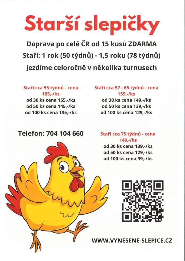Obec Kočí informuje občany o možnosti objednání kvalitních starších slepic s dovozem až domů.