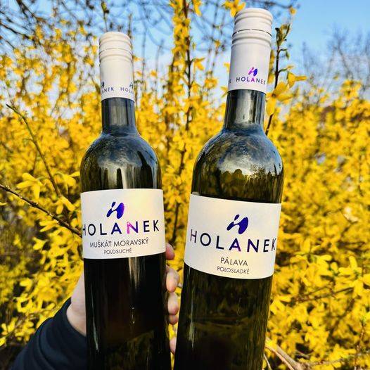 Vinařství Holánek přijede ve čtvrtek 02.04.2026 s pojízdnou vinotékou. Tento týden přiveze vinařství Holánek v akci Velikonoční kartony, sušší za 860 Kč, sladší za 885 Kč, dále v akci polosladkou Pálavu za 180 Kč, polosuchý Muškát moravský za 100 Kč, vína sudová 80-90 Kč/litr, vína lahvová výběr z hroznů, pozdní sběr 150-250 Kč. Vinotéka bude stát od 19:05-19:25 u Sokolovny.