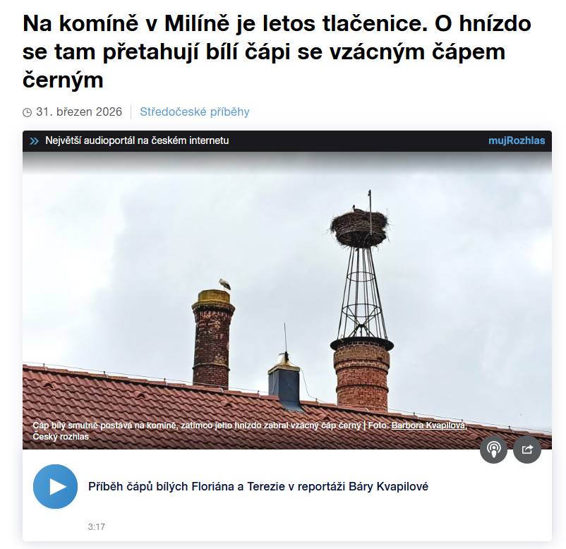 Boj o hnízdo mezi Floriánem, Terezií a nečekaným černým hostem zaujal i média. Poslechněte si reportáž o tom, co se u nás na komíně děje.