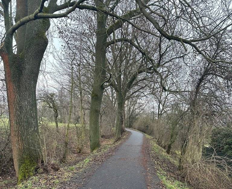 Město Hranice připravuje revitalizaci aleje podél cyklostezky mezi Hranicemi a místní částí Velká u Hranic v lokalitě Velkého náhonu. Cílem projektu je zlepšit zdravotní stav stromů, postupně obnovit stárnoucí stromořadí a zároveň podpořit biodiverzitu v území.