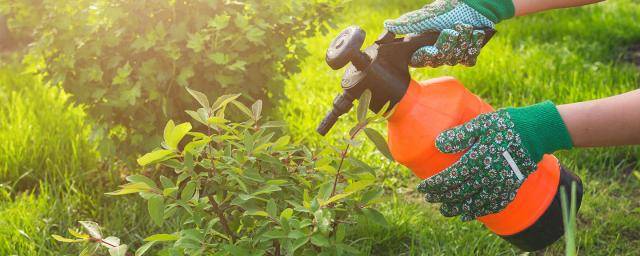 Informujeme tímto občany města Prostějova, že za příznivých klimatických podmínek bude ve dnech 13.4.-17.04.2026 provedeno lokální chemické ošetření keřových záhonů na ulicích Brněnská, Wolkerova, Olomoucká. Jedná se o keřové záhony lemující komunikace.                               Číst dál...