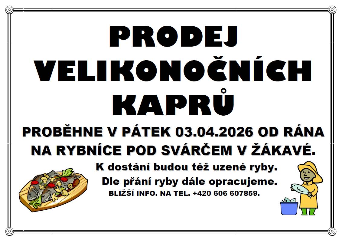 v pátek 3.4.2026 od rána na rybníce pod Svárčem v Žákavě
