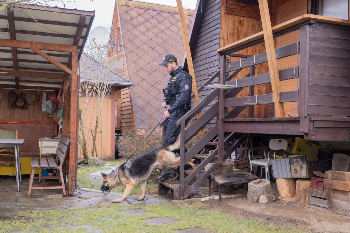 Policisté v Moravskoslezském kraji provádějí během zimních měsíců preventivní kontroly rekreačních objektů. Zaměřují se na odhalování podezřelých osob a prevenci vloupání do chat a chalup. V případě podezřelých aktivit je důležité reagovat obezřetně a včas kontaktovat policii.  Více viz níže.