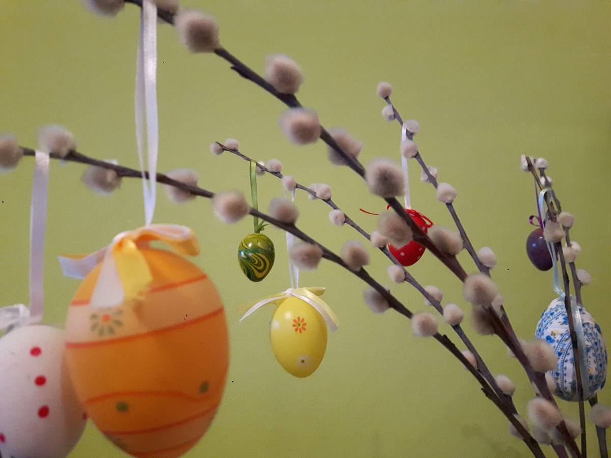 Milé Trenčianky, milí Trenčania, veľkonočné sviatky patria k najstarším a najvýznamnejším oslavám v histórii ľudstva. Pre kresťanov predstavujú najdôležitejší sviatok celého cirkevného roka. Pre ostatných ide skôr o radosť z príchodu jari a o zvyky s tým spojené. Tak či onak – prajeme vám – peknú, požehnanú, milostiplnú i veselú Veľkú noc. [...]Čítať viac...