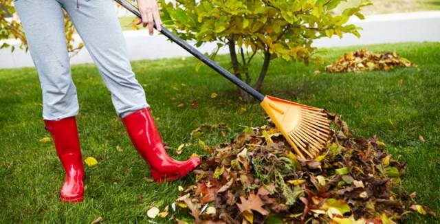 Ukončení svozu bioodpadu