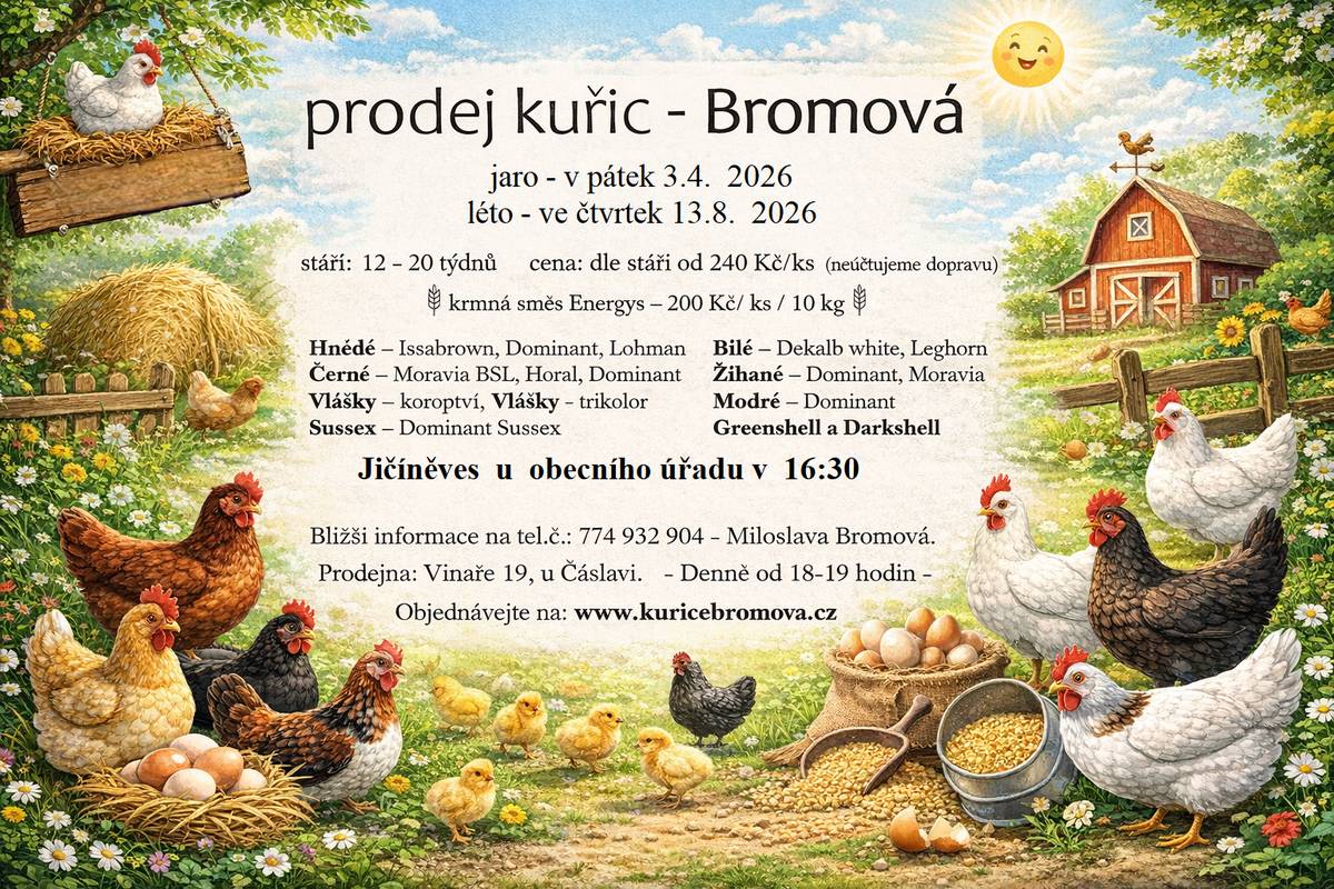 Paní Bromová bude prodávat slepice různých barev, cena od 240 Kč/kus dle stáří kuřic. Prodej se uskuteční v pátek 3.4.2026 u obecního úřadu v 16:30 hod.