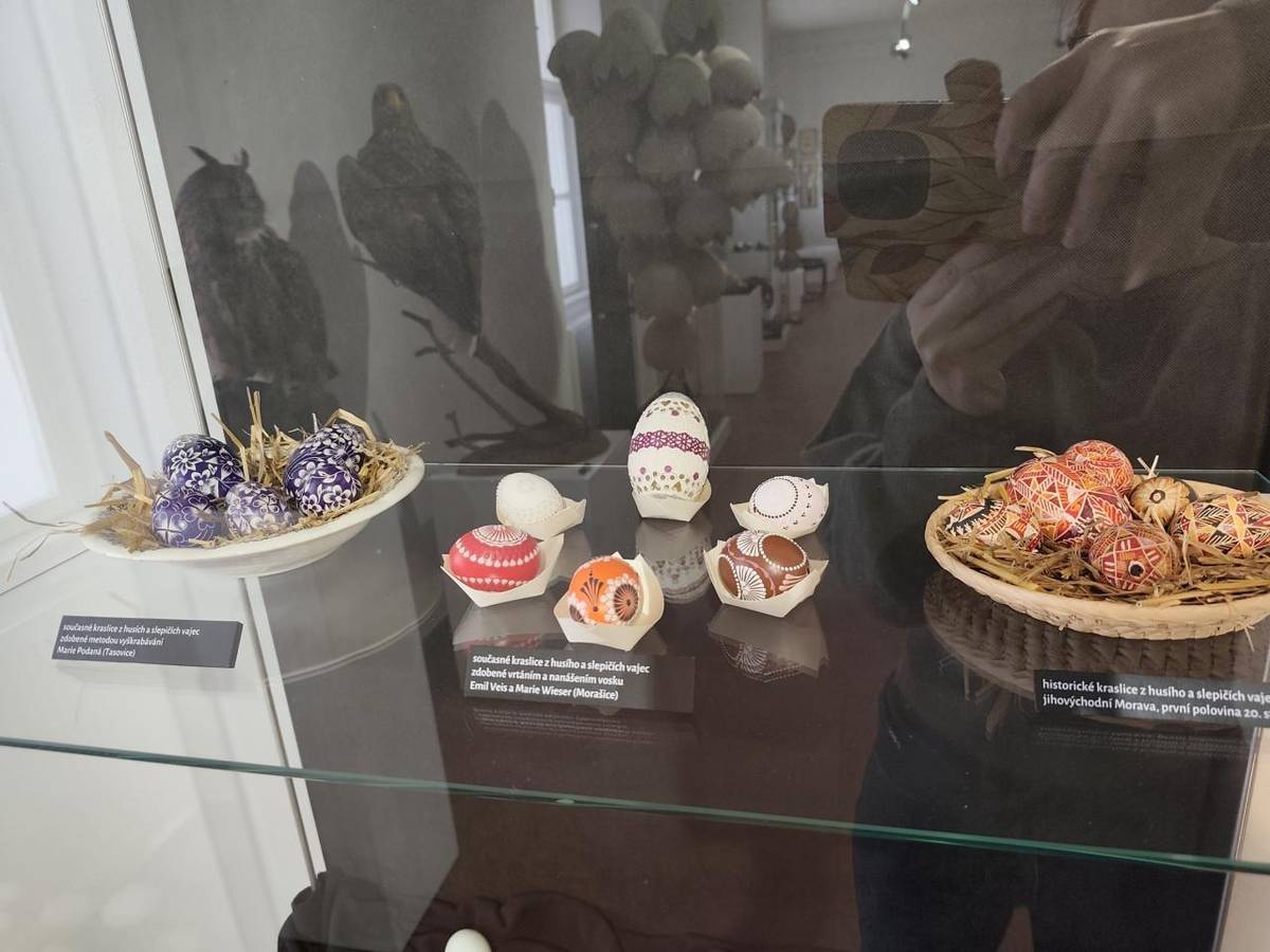 Dne 1. dubna 2026 se třída Lišek vydala do Jihomoravského muzea ve Znojmě na edukativní program „Hravé Velikonoce“. Děti se seznámily s velikonočními tradicemi a v tvořivé části si vyzkoušely výrobu vlastní kraslice tradiční technikou. Po dopoledni plném zážitků jsme se společně vrátili autobusem do