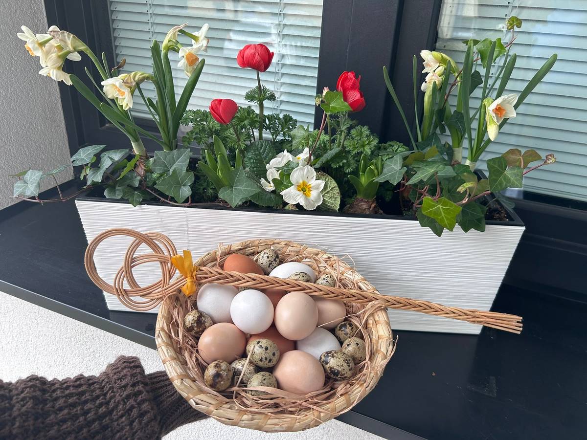 Krásné a sluncem ☀️ zalité velikonoční svátky plné jarní pohody 🍀 přeje obec Markvartovice.