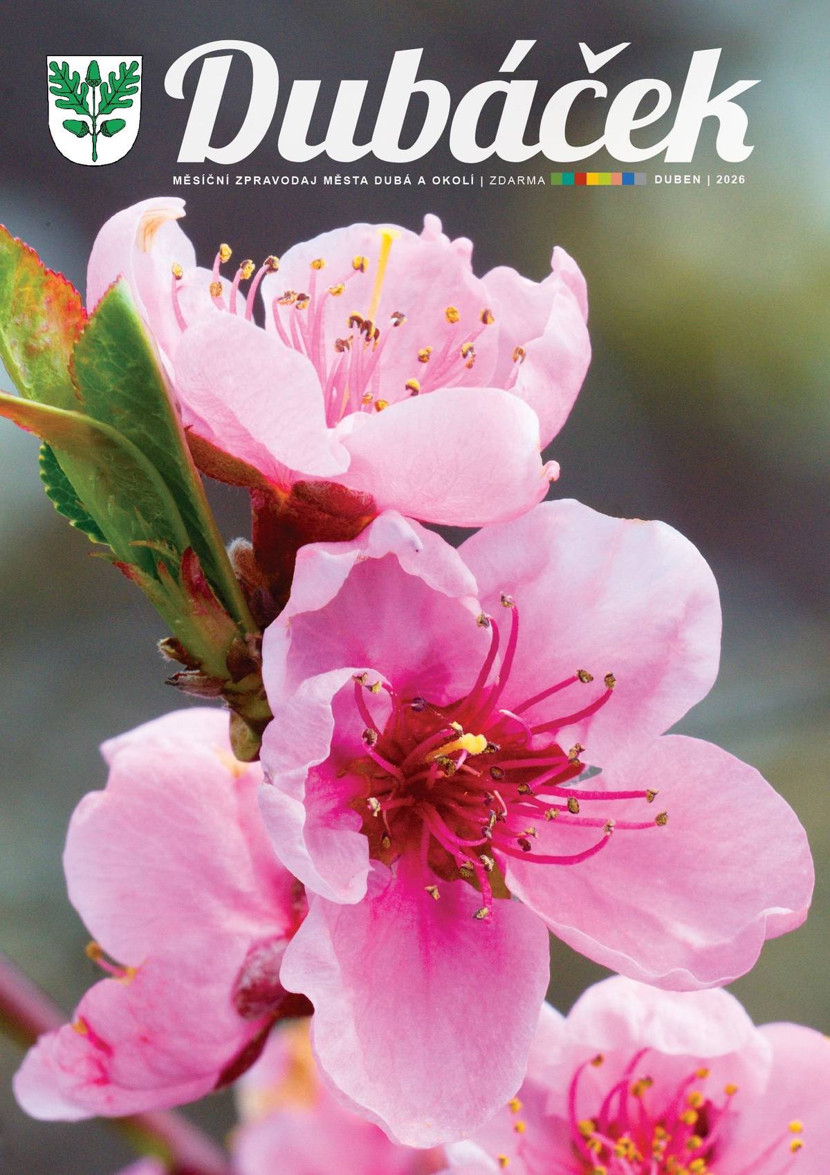 Duben je tady a s ním i nové vydání Dubáčku 🌿🌞 Venku se již pomalu objevují první teplé dny, takže nastává ideální chvíle uvařit si čaj, sednout si na sluníčko a začíst se do čerstvého čísla. V tom dubnovém najdete například: • 🏕️ informace o přípravách na novou sezonu v kempu – tentokrát o úpravách původní stodoly • 📅 přehled jarních akcí v Dubé i blízkém okolí • 🚴 tip na příjemný cyklovýlet • 🎣 rozhovor o činnosti místního Českého rybářského svazu • 🧩 oblíbenou zábavnou stránku s křížovkou • 📰 a další novinky z našeho města Listovat můžete tady: 👉 listovací Dubáček PDF verzi najdete tradičně na webu města a všechna čísla jsou k dispozici i v Munipolisu. Tištěný Dubáček vyrazí do schránek hned po Velikonocích 📬 Přejeme vám příjemné čtení a krásné jarní dny na sluníčku ☕📖🌿