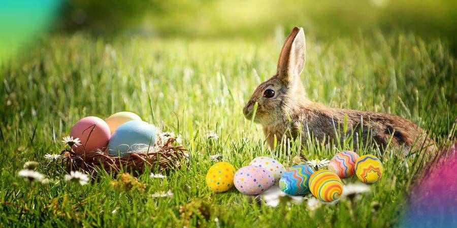 VÁŽENÍ SPOLUOBČANÉ, PŘEJI VÁM Z CELÉHO SRDCE RADOSTNÉ A POŽEHNANÉ VELIKONOČNÍ SVÁTKY. UŽÍVEJTE TYTO KRÁSNÉ JARNÍ SVÁTKY V RADOSTI, PEVNÉM ZDRAVÍ A OBKLOPENI LÁSKOU. KRÁSNÉ VELIKONOCE.   KATEŘINA SINGROVÁ, STAROSTKA OBCE