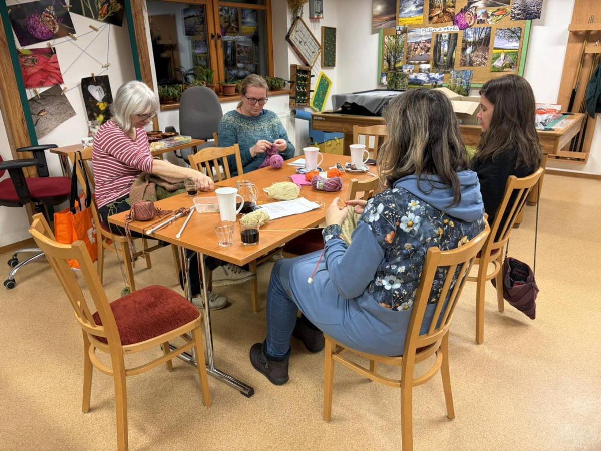 Sobotní podvečer 21. února 2026 v prostorách milínské knihovny patřil jehlicím, vlně a tvoření.