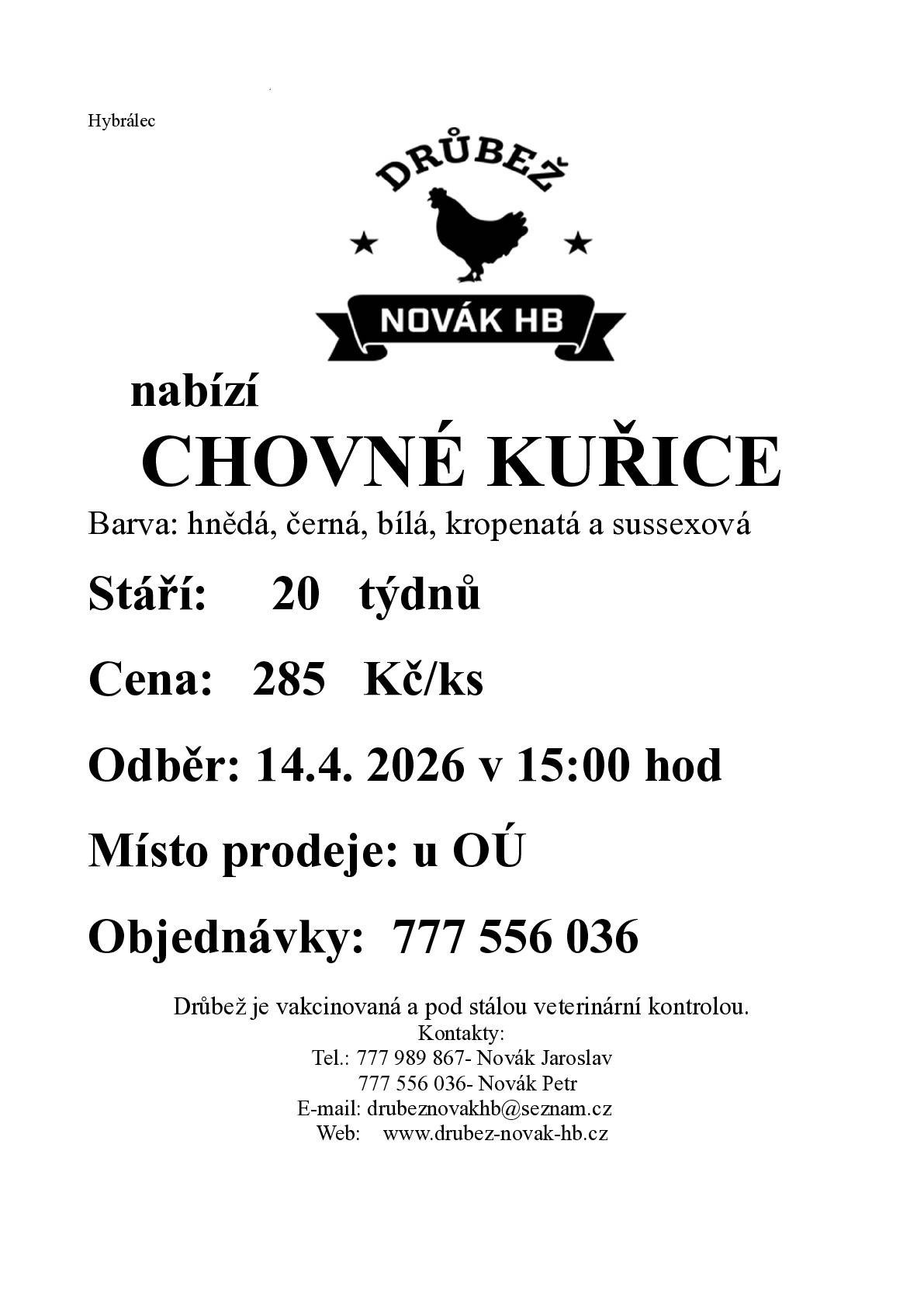 Dobrý den. Zasíláme nabídku na chovné kuřice.