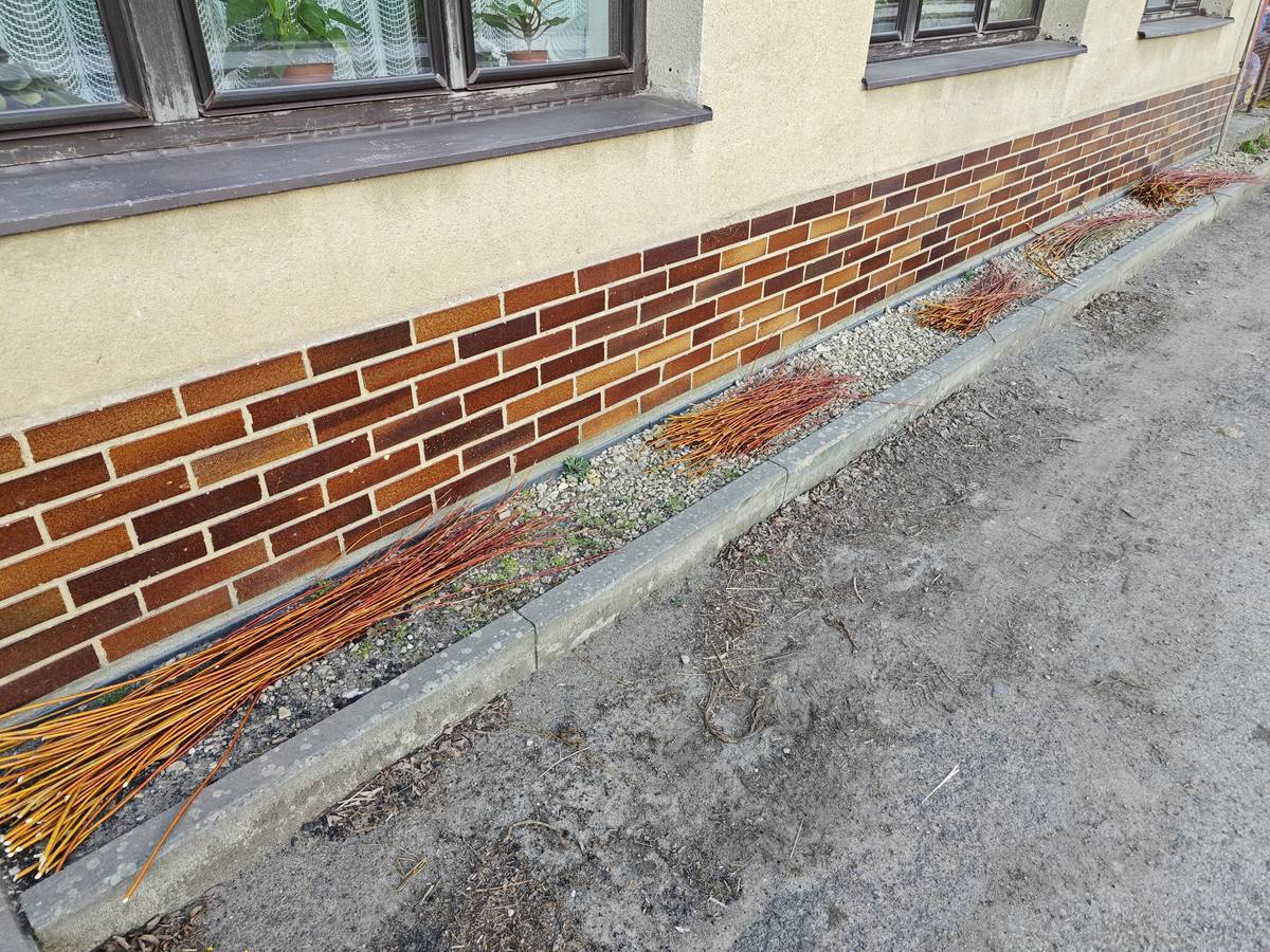 Před budovou obecního úřadu je volně k dispozici proutí na velikonoční výzdobu nebo pletení pomlázek.