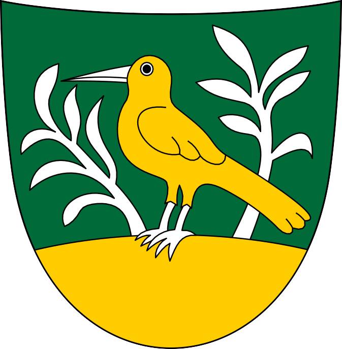 Verejné zasadnutie OZ Divina