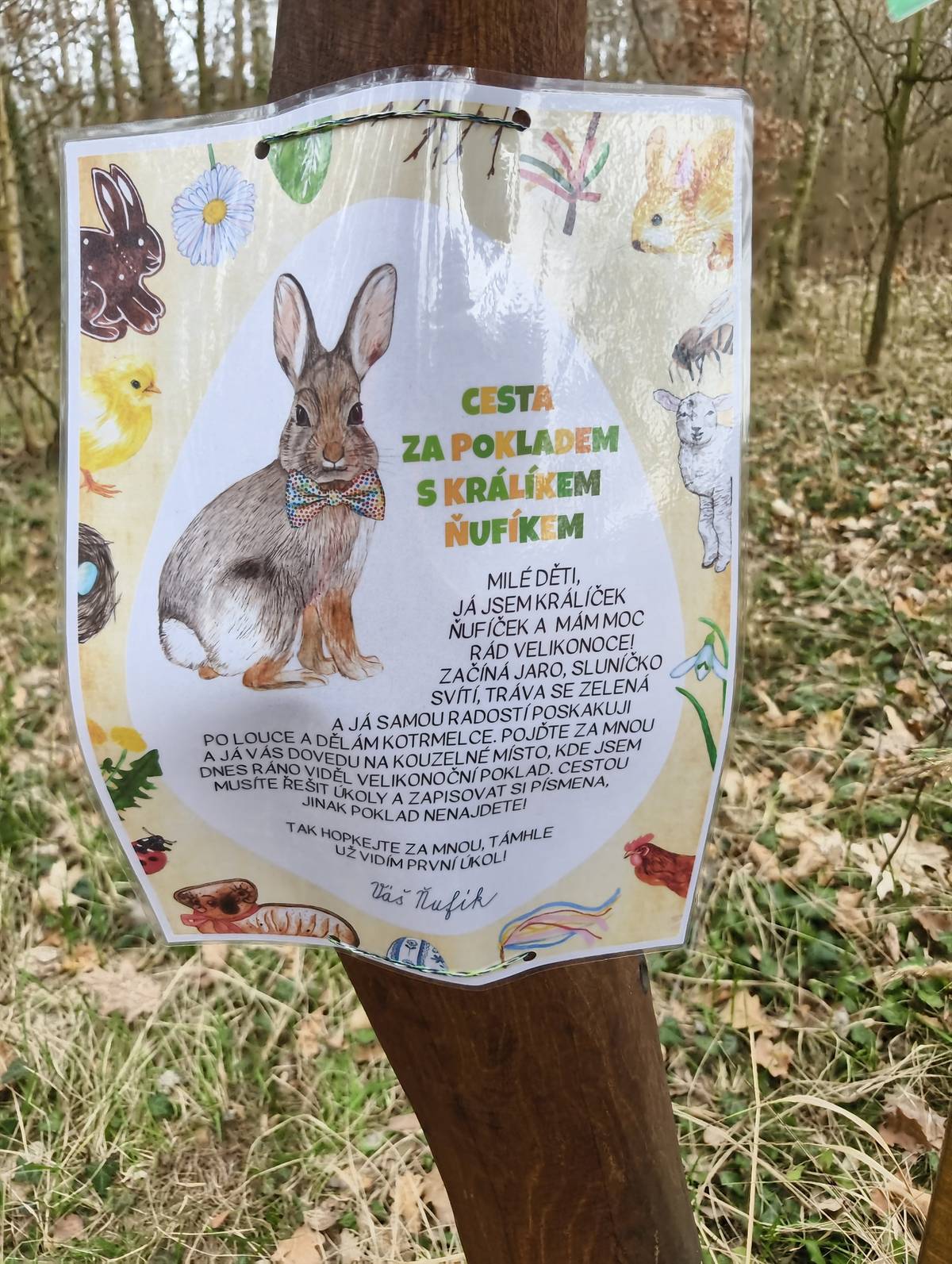 Obec Trebestovice připravila pro malé děti Velikonoční cestu za pokladem s králíkem Ňufíkem. Cestu za pokladem najdete na kančí stezce.