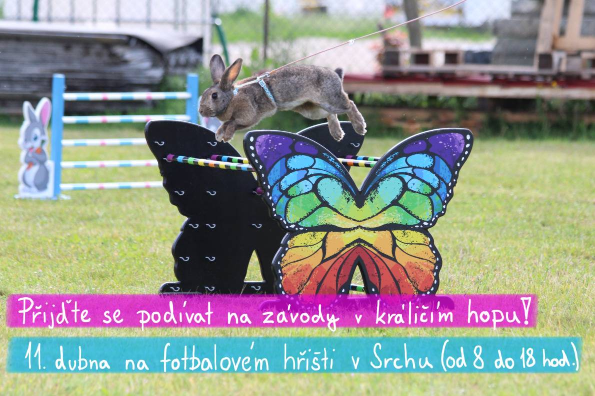 Sobota 11.4. od 8 do 18