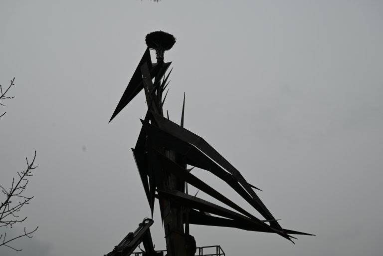 Letos si hranický čáp dal načas. Na hnízdě se objevil  v sobotu 4. dubna.  Na kameře si můžete ověřit. aktuální stav.