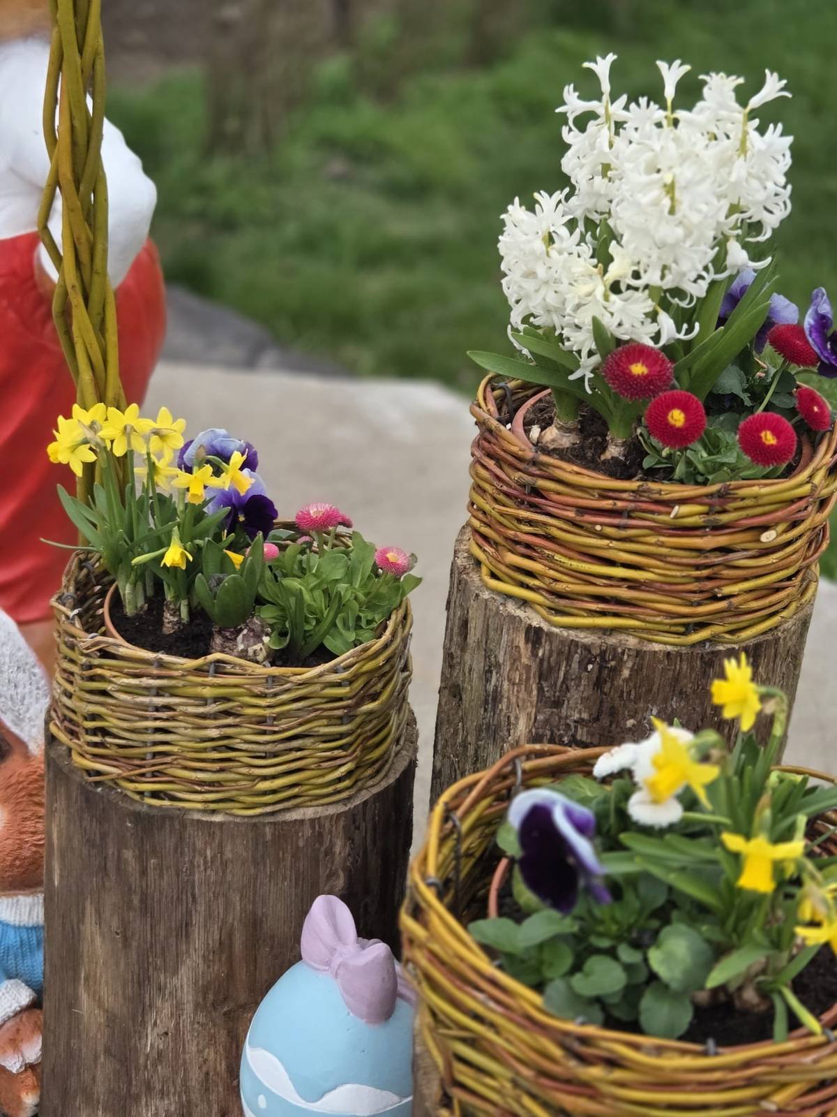 Jaro dorazilo i do Stěžírek – a s ním velikonoční zajíček, ozdobený přírodními dekoracemi a květinami. Výzdobu zajistily dámy: Marcela Dolanská a Martina Kloučkové. 🐰🌸 Dekorace jistě každého kolemjdoucího i projíždějícího upoutá a zlepší mu náladu. A pro ty, kteří nemají cestu do Stěžírek, posíláme alespoň malou fotografickou ukázku.  Přejeme Vám poklidné a radostné Velikonoce.