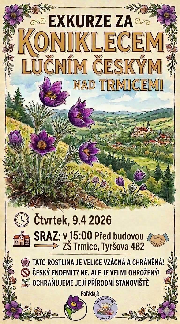 Zveme Vás na Exkurzi za Koniklecem lučním nad Trmicemi. Sraz je ve čtvrtek 9.4.2026 v 15 hodin před Základní školou Trmice, Tyršova 482