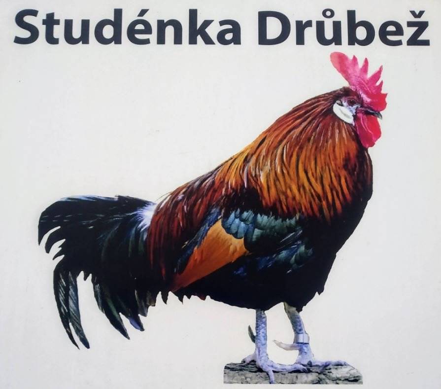 Studénka Drůbež bude v úterý 7. dubna 2026 od 12 do 12.15 hodin prodávat u pomníku kuřice různých barev, chovné kohouty, krmné směsi a vitamíny.