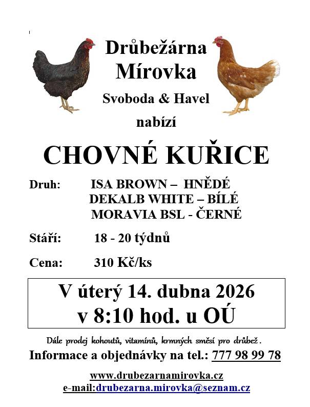 V úterý 14.4., v 8:10 hod, před OÚ, bude drůbežárna Mírovka Svoboda a Havel prodávat nosné kuřice. Stáří 18-20 týdnů, cena 310 Kč/ks.
