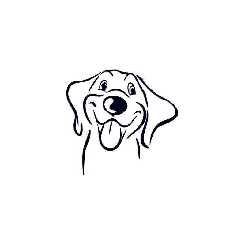 MVDr. Radek Novotný bude v pátek 24. dubna od 16:30 do 17:30 před obecním úřadem provádět vakcinaci psů.