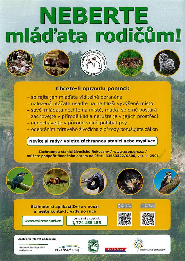 Informace jak postupovat, když naleznete v přírodě mláďátko