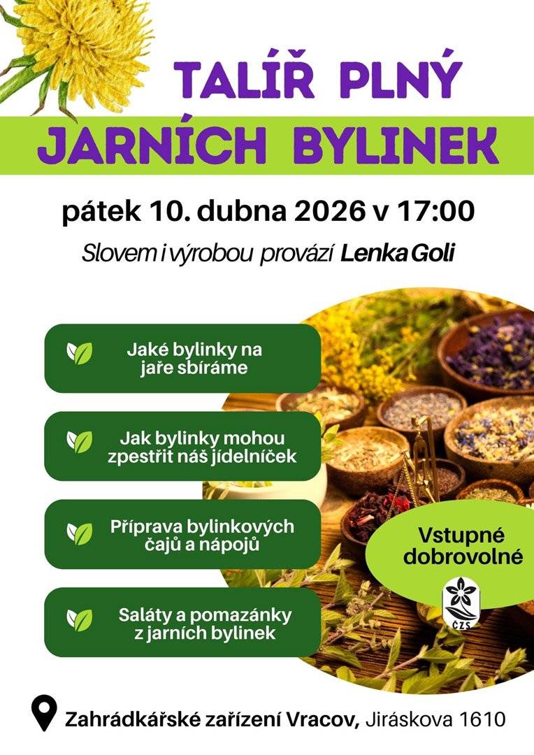 🌿🍵Talíř plný jarních bylinek - 10. 4. 2026 ČZS Vracov Vás srdečně zve na jarní akci s názvem Talíř plný jarních bylinek, a to v pátek 10. 4. 2026 od 17.00 v zahrádkářském zařízení v ulici Jiráskova č.p. 1610 ve Vracově. Slovem i výrobou Vás provede Lenka Goli. Těšit se můžete např. na témata: jaké bylinky na jaře sbírat🌱, jak mohou bylinky zpestřit náš jídelníček🥗. Ukáže přípravu bylinkových čajů pomazánek🍵🥣 a mnoho dalšího. Vstupné dobrovolné.   🎬😂Kino Vracov - Přání k narozeninám: Křtiny - 10. 4. 2026 MKK Vracov zve příznivce českého filmu do kina v pátek 10. 4. 2026 od 19.00 na novou českou komedii Přání k narozeninám: Křtiny. Ve filmu se Vám představí Eva Holubová, Jaroslav Dušek, Matěj Hádek, Anna Polívková a další. Vstupné je 130 Kč. Občerstvení zajištěno.🍿🥤   🎉🎧VRACOFF PARTY - 11. 4. 2026 Nenechte si ujít další VRACOFF PARTY v sobotu 11. 4. 2026 od 20.00 ve sportovní hale ve Vracově. Vystoupí DJ GREBA, kapela TRITIUM, DJ DAVE a DJ YANNICK🔊🔥. Více info na www.hyggeevents.cz.   🧲🚛Sběr železného šrotu - 10. a 11. 4. 2026 SDH Vracov oznamuje, že pořádá Sběr železného šrotu, a to v pátek 10. 4. 2026 od kolejí směr „Městečko“ a v sobotu 11. 4. 2026 od kolejí směr les. Železný šrot prosím připravte před svůj dům, hasiči si jej vyzvednou. Těžké kusy, které je potřeba vynést, oznamte prosím na tel. 📞777 962 643. Za sběr hasiči předem děkují.❤️🔥   🎼🎹Absolventský koncert žáků ZUŠ Vracov - 16. 4. 2026🎵 ZUŠ Vracov Vás srdečně zve na Absolventský koncert žáků, a to ve čtvrtek 16. 4. 2026 od 18.00 v koncertním sále školy. Vystoupí tito absolventi: Julie Neradilová, Matylda Pavlíků, Elena Lukešová, Karla Mikešová, Dominika Ingrová, Ema Špačková, Jakub Sabáček a Roman Saňka.  🎭🌸Předprodej vstupenek na divadelní představení Růžové svatby - 1. - 21. 4. 2026 Informační centrum města Vracova oznamuje, že zahájilo předprodej vstupenek na divadelní představení Růžové svatby, které se koná 21. 4. 2026 v 18.00 v kinosále kulturního domu ve Vracově. Cena vstupenky je 250 Kč.