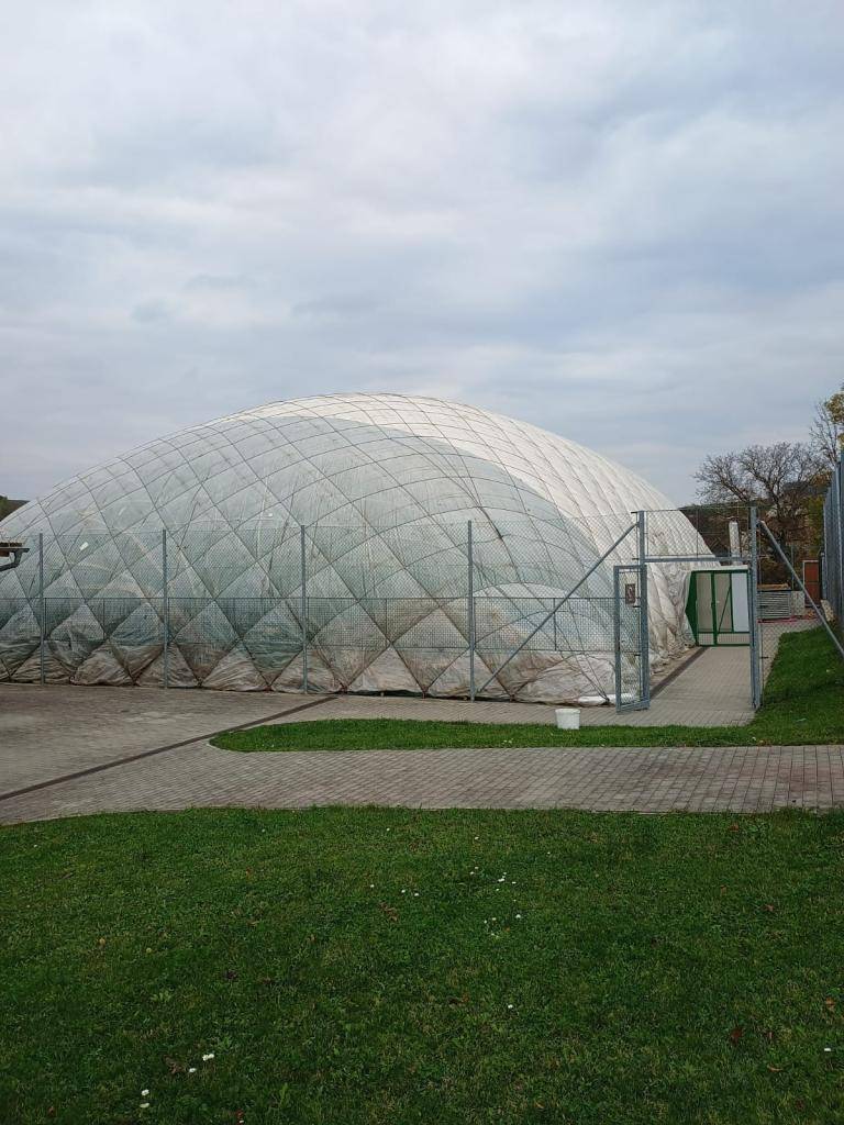 V sobotu 25.10. od 8.00 uklízíme halu!  Hledáme pomocníky — odměnou je buď finanční odměna (na základě dohody o provedení práce), nebo poukaz na sportování.  Napsat můžete do komentářů nebo se ozvat na Sportklub Niva – 777 521 079.  Pitný režim i občerstvení zajištěno.