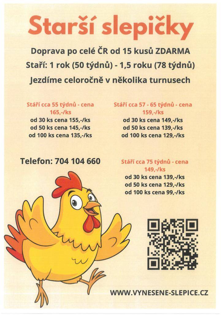 Prodej starších slepiček