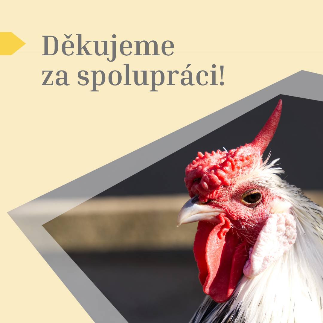 Děkujeme všem, kteří odevzdali formuláře a spolupracovali i v době Velikonoc v souvislosti s výskytem ptačí chřipky. Díky tomu jsme mohli včas přijmout potřebná opatření a vše předat Krajské hygienické stanici. Velmi si vážíme vaší zodpovědnosti a přístupu, který pomáhá chránit zdraví ptactva a drůbeže.  Věříme, že se nám podaří tuto situaci zvládnout bez dalších komplikací.