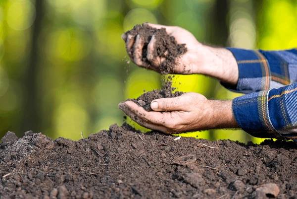 V březnu začal výdej kompostu ve sběrném dvoře ve Šternberku, máme začátek dubna a sdělujeme, že kvůli velkému zájmu obyvatel, již jsou všechny zásoby pryč!