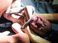 Další snímky, které porota vybrala mezi ty nejlepší, i když žádnou cenu přímo nezískaly.