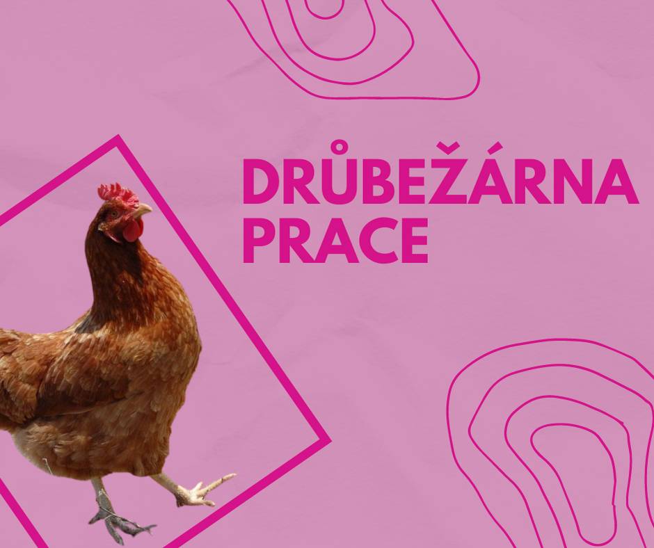 Drůbežárna Prace bude v pátek 10. 4.   ve 12:15 hod. prodávat: