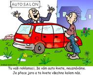 Na jaře všechno kvete