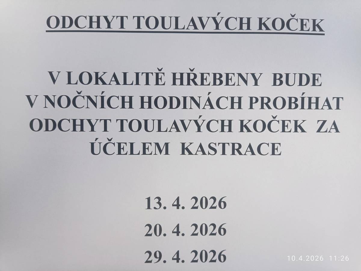 V lokalitě Hřebeny bude ve večerních a nočních hodinách probíhat odchyt toulavých koček za účelem kastrace a to 13.4. , 20.4. a 29.4. .