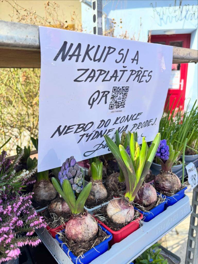 Květinářství na modrém domečku v Nivnici oznamuje, že od 1.3. funguje mimo otvírací dobu květinářství samoobslužný prodej zboží před prodejnou s platbou přes QR kód.   Nově v nabídce "huménko" = kytka ze sezónních květin z vlastní zahrady. Těší se na Vaši návštěvu.