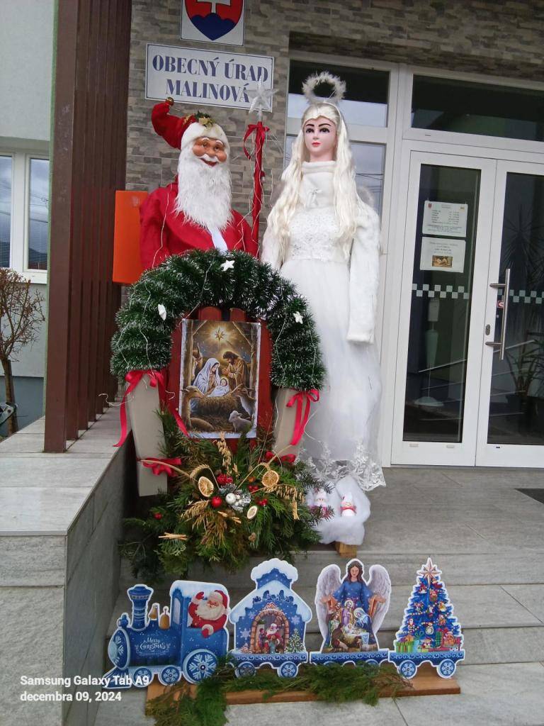 S blížiacimi vianočnými sviatkami sa spája množstvo vianočných tradícií a zvykov, ktoré väčšina  ľudí dodržiava. Neoddeliteľnou súčasťou  vianočnej výzdoby sú stálo zelené rastliny, u nás je to smrek, borovica či jedlička. Už starí Rimania verili, že prinášajú šťastie.