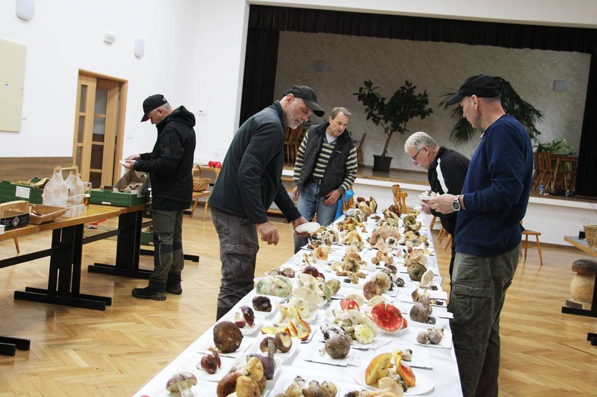 Regionálna výstava húb, ktorú sme v závere septembra (26. – 28.09.) v našej obci zorganizovali už po dvanástykrát.