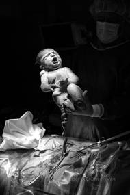 Další snímky, které porota vybrala mezi ty nejlepší, i když žádnou cenu přímo nezískaly.