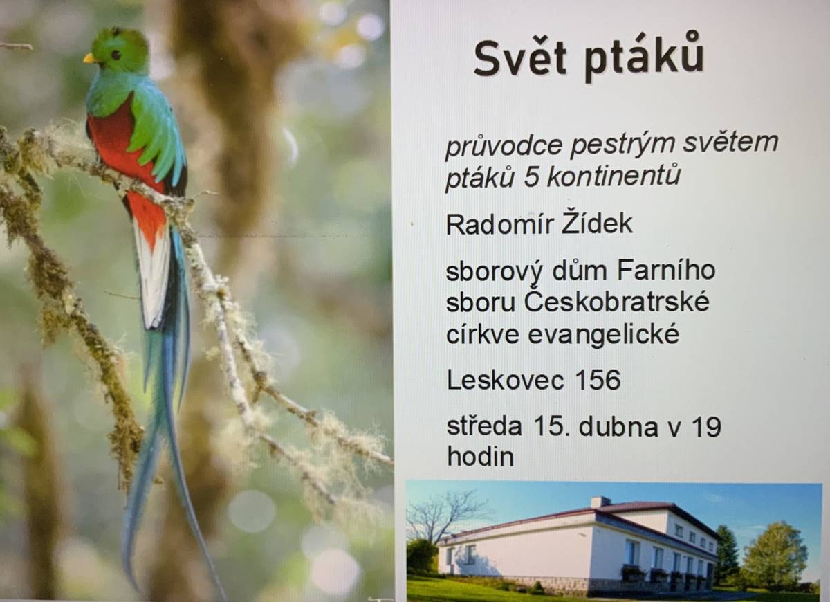 Pozvánka na přednášku o ptácích, která se uskuteční ve středu 15.4. v 19 h ve sborovém domě ČCE Leskovec