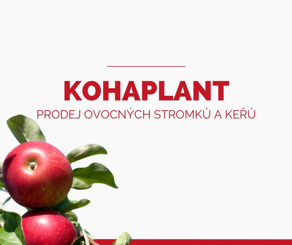 Kdy: 8.4.2026 od 8:50  Kde: prodejní místo pod májú