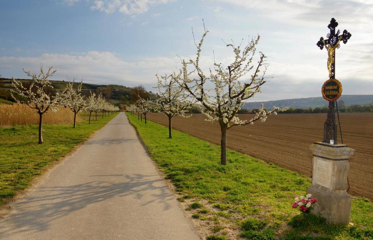 Vážení spoluobčané,   Bořetické listy máte již ve svých schránkách. Nyní je naleznete i na webu.