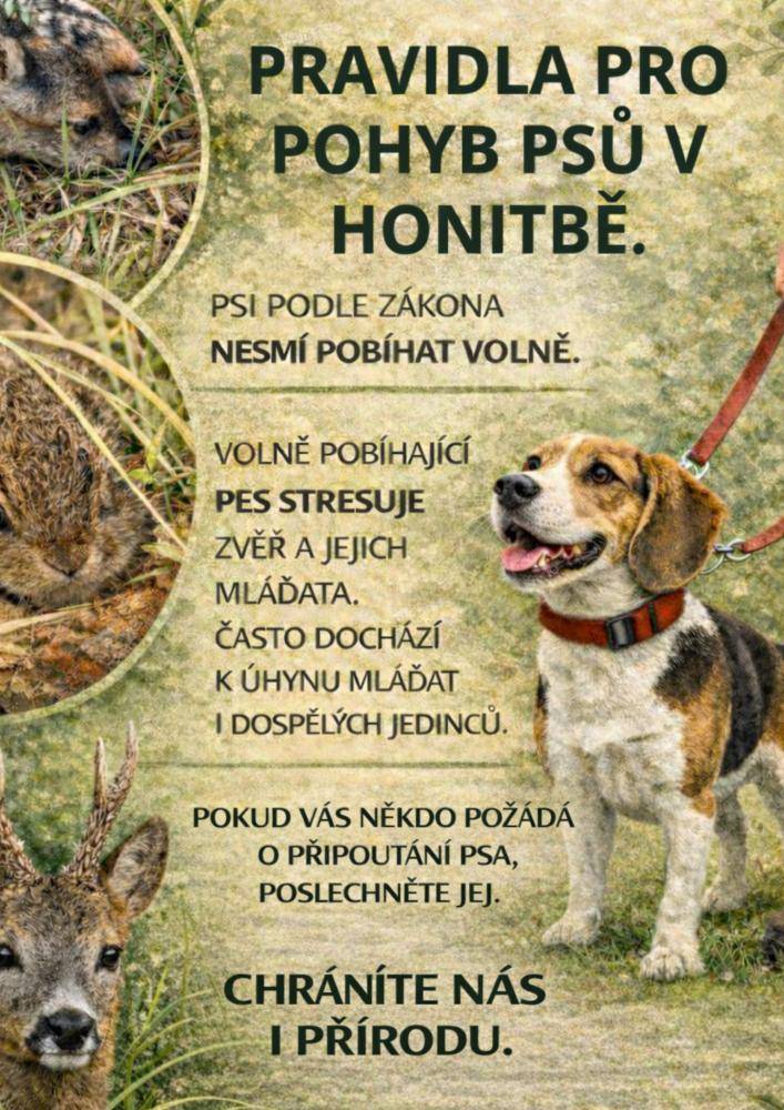 V příloze jsou zveřejněna pravidla pro pohyb psů v honitbě.